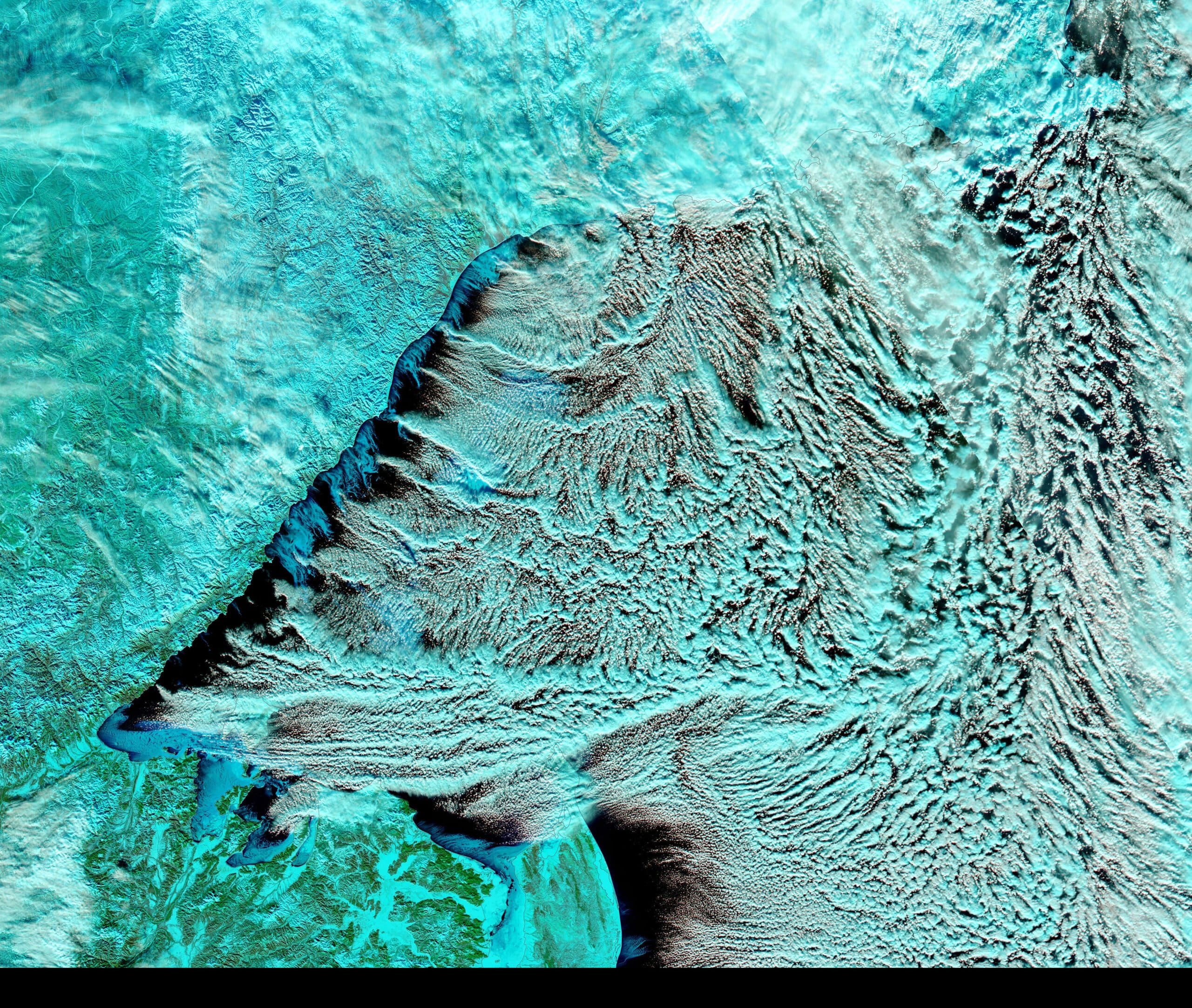 Späckhuggarna attackerar! Rädslan och kärleken
