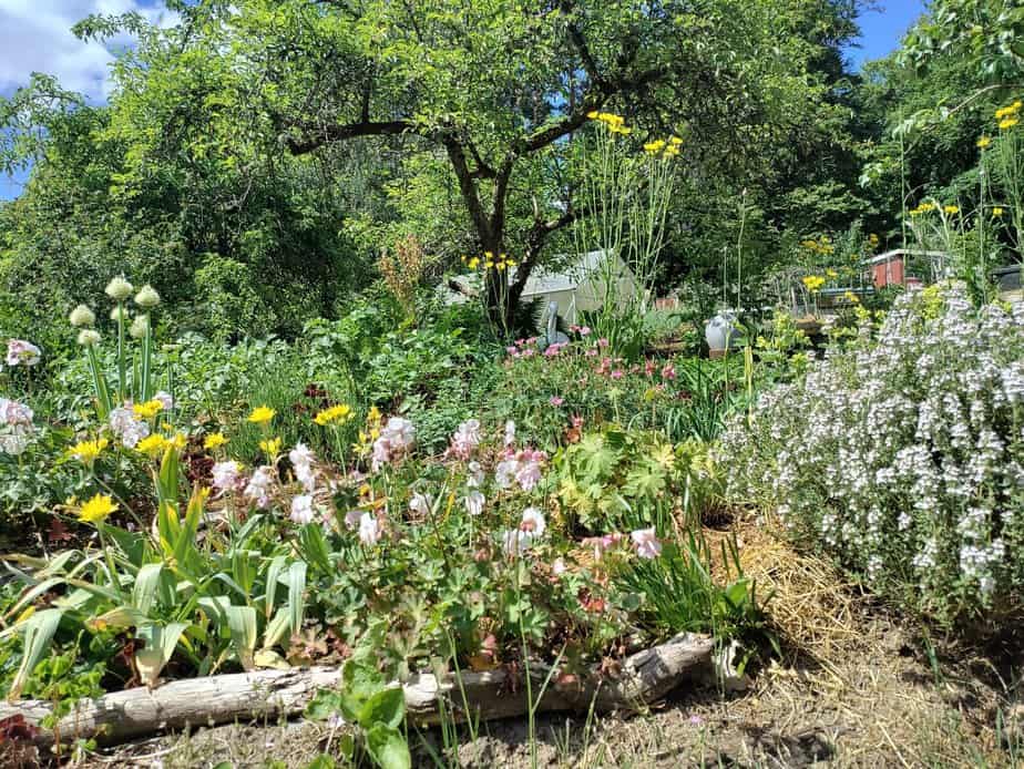 Att leva ett liv – om jagets konturer