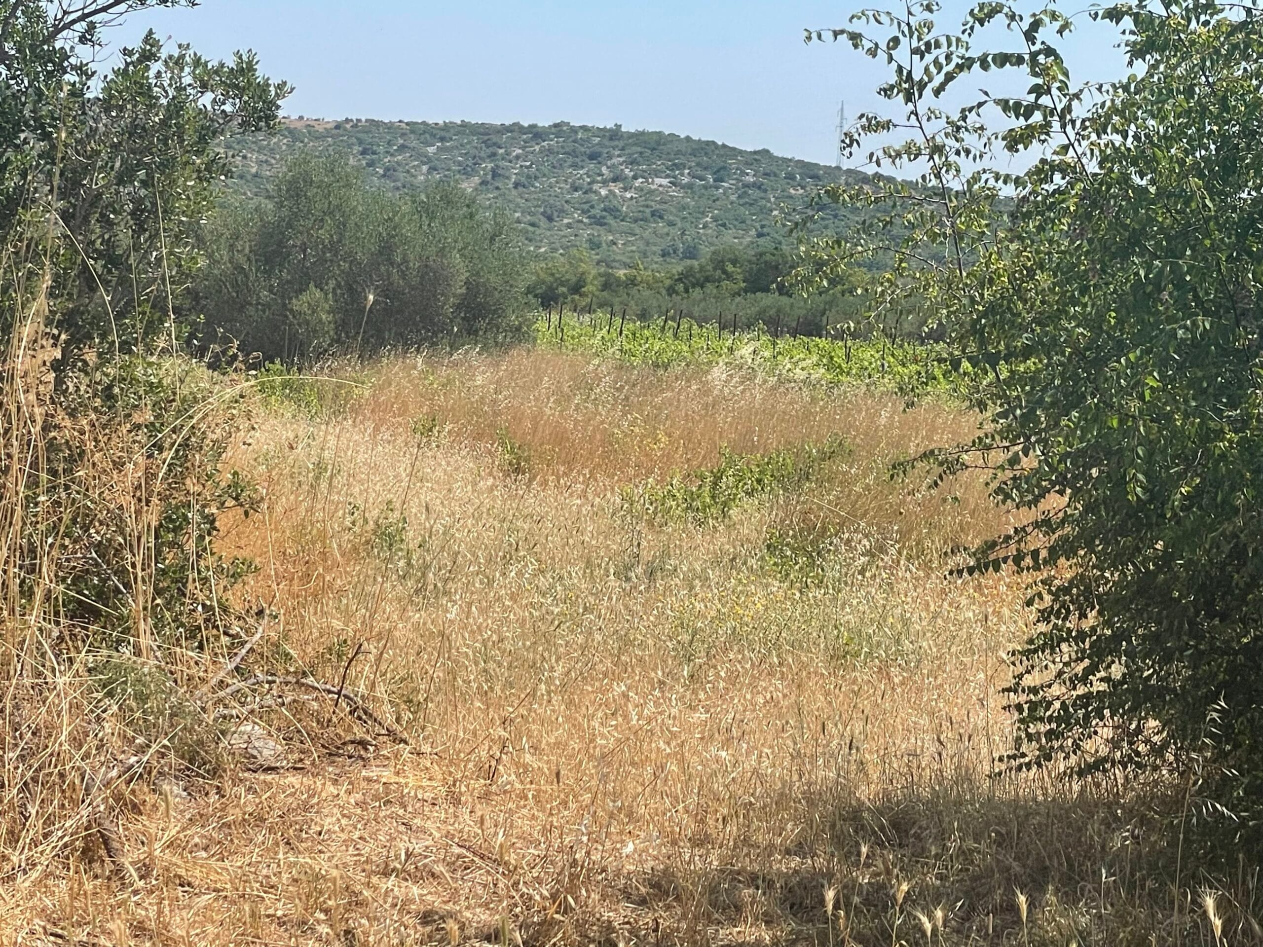 Djedovina – farfars jordlott